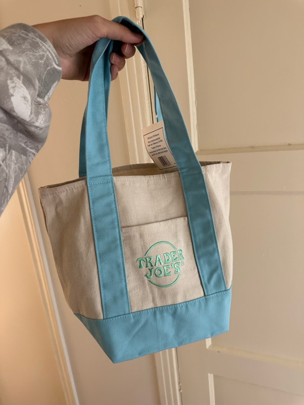 Trader jos mini Canvas Tote Bag in Light Blue